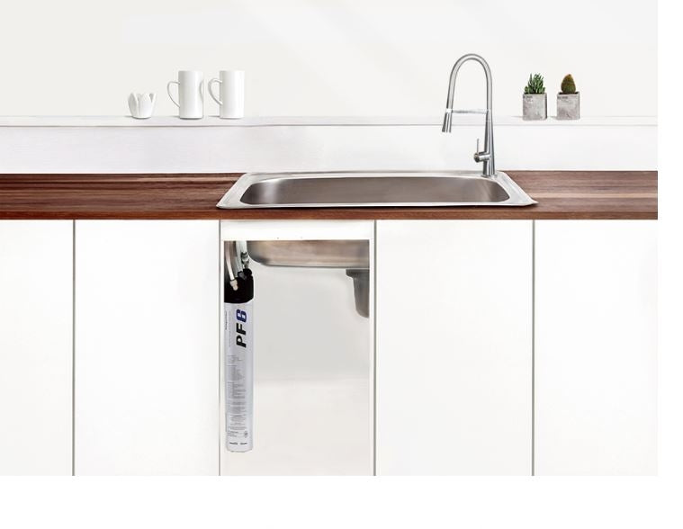 Paragon  PF6  Sediment and  Rust removal filter