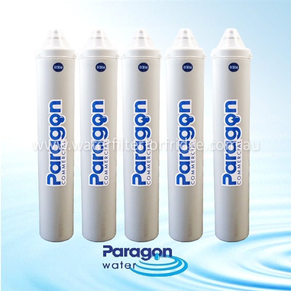 Paragon Commercial Water Filter CB56