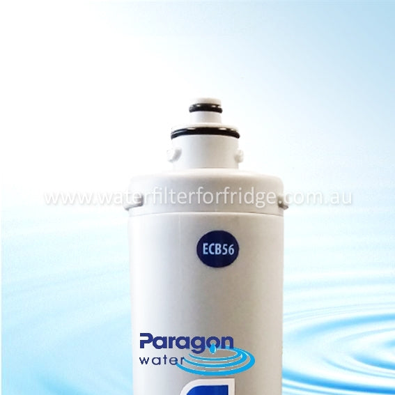 Paragon Commercial Water Filter CB56