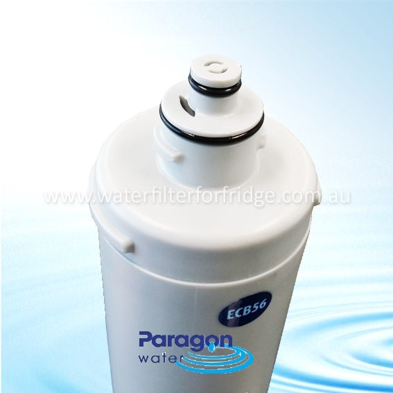 Paragon Commercial Water Filter CB56