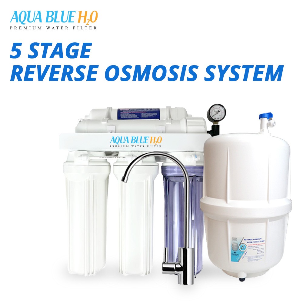 Whole house water system with RO purification system