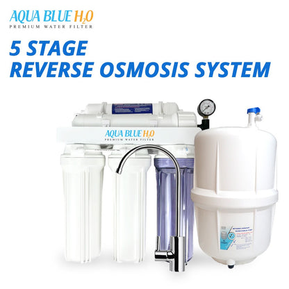 Whole house water system with RO purification system