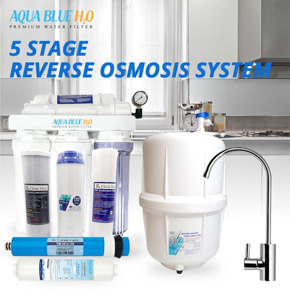 Whole house water system with RO purification system