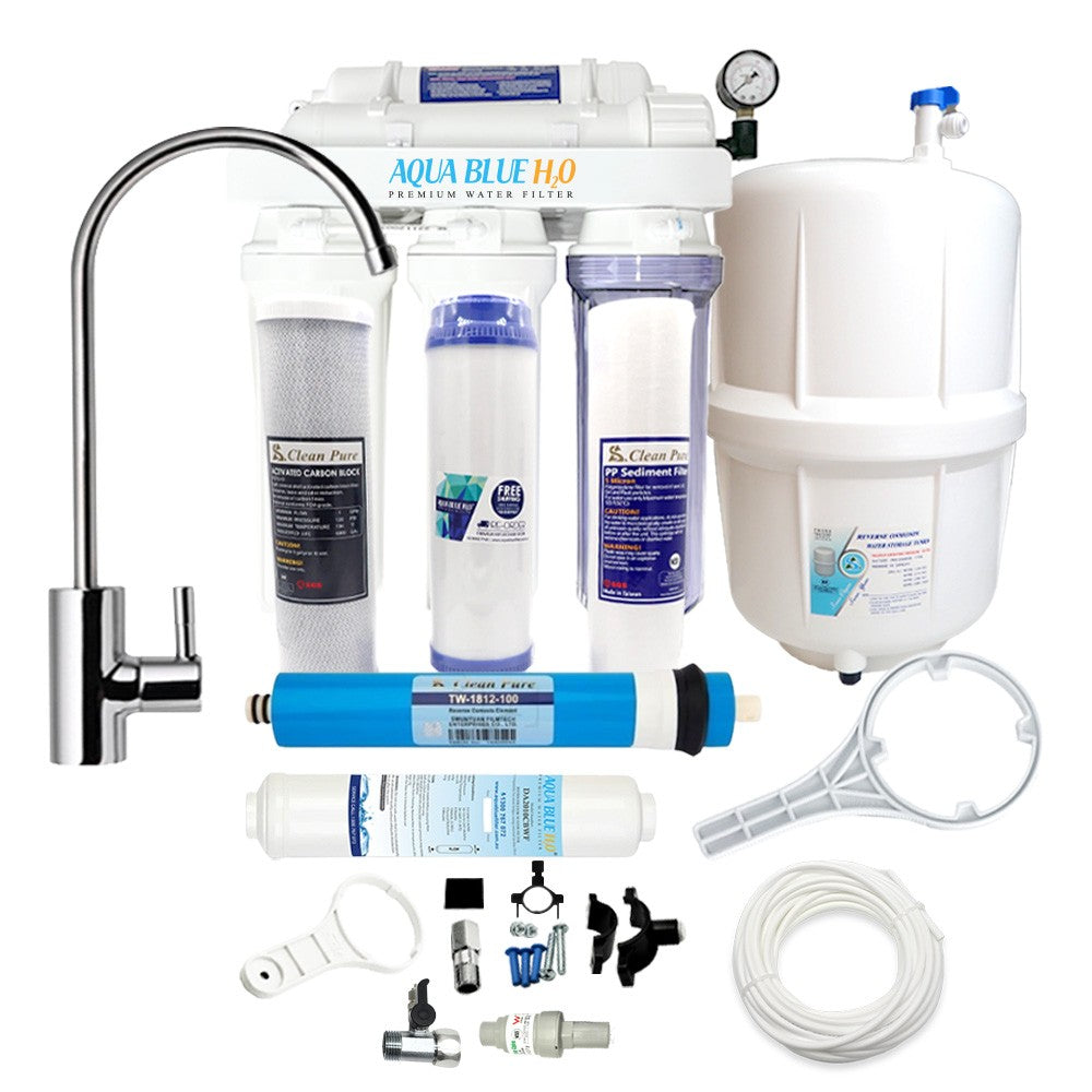 Whole house water system with RO purification system