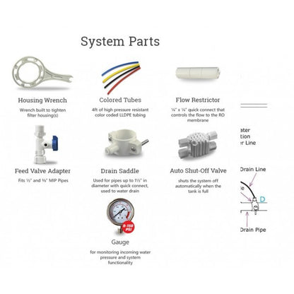 Whole house water system with RO purification system