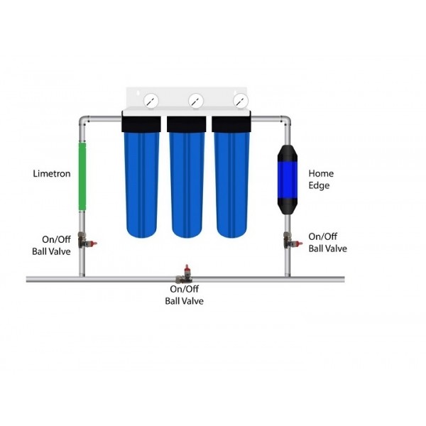 Whole house water system with RO purification system