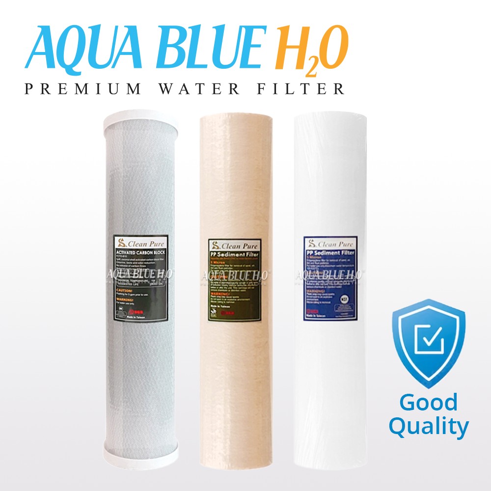 Whole house water system with RO purification system