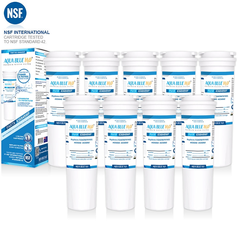 Fisher & Paykel 836848 / 13040210 Replacement Filter Part 836860