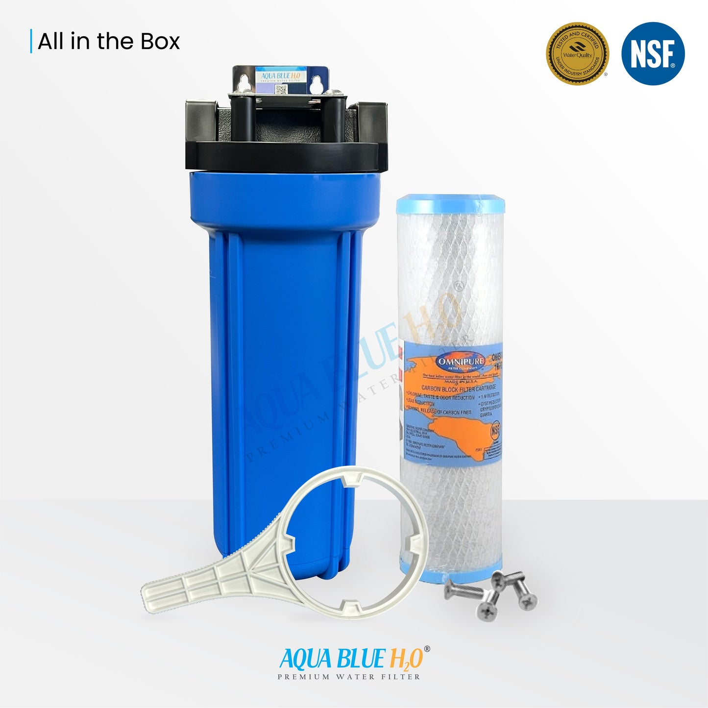 Whole House Water System with Omnipure Carbon Block Filter OMB934 1 Mic