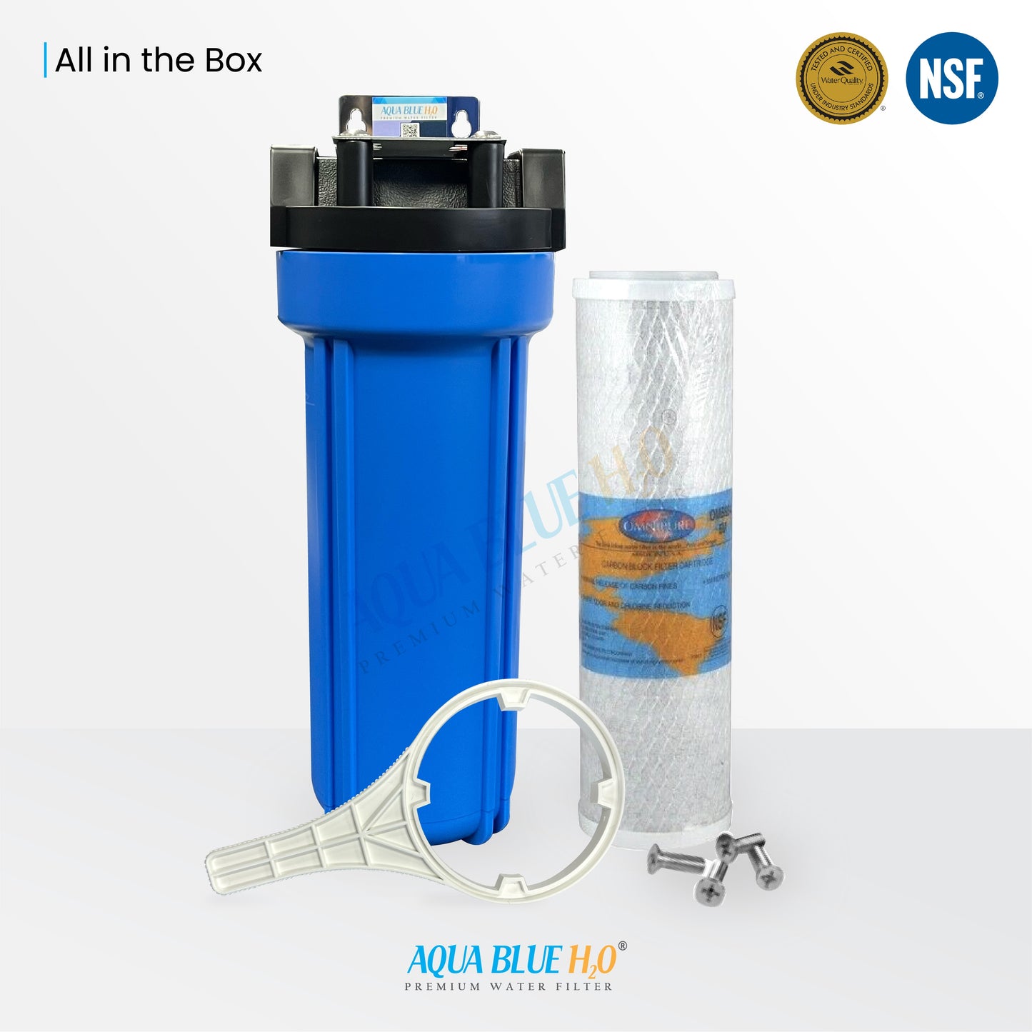 Whole House Water System with Omnipure Carbon Block Filter OMB934 10 Mic