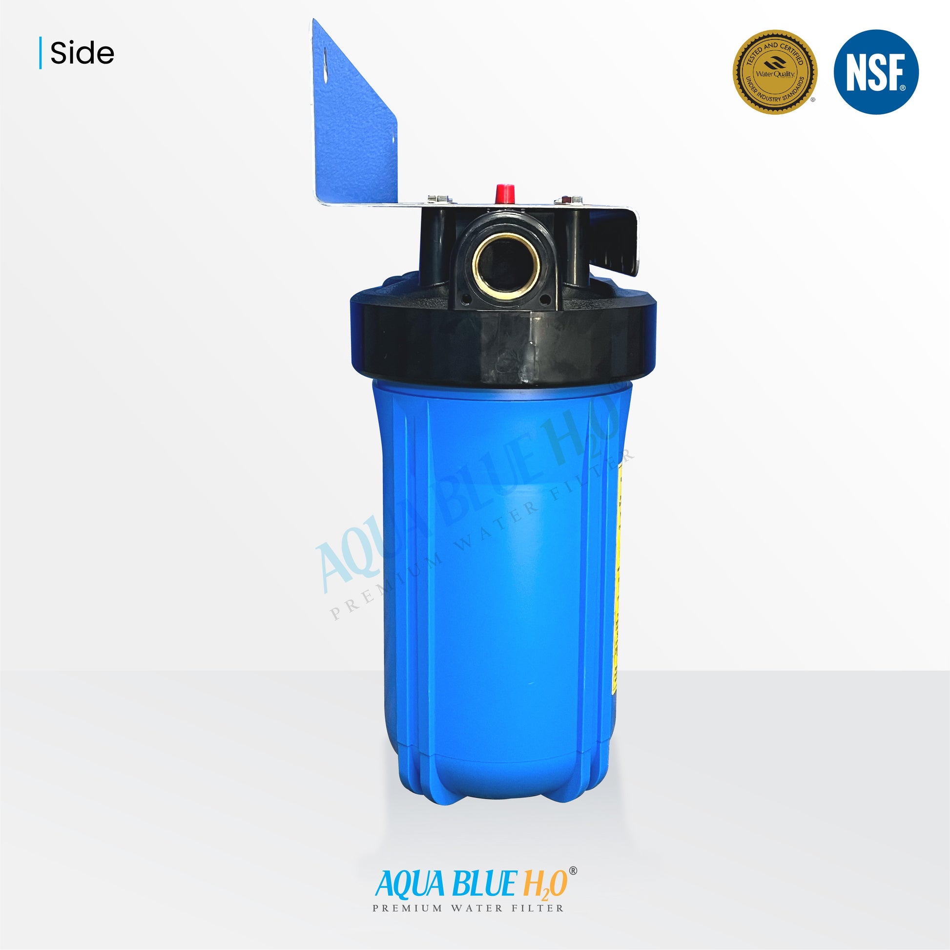 Rain Water Tank Filter system BIG Blue UV residence with AP810-WF 5 Micron Sediment Filter