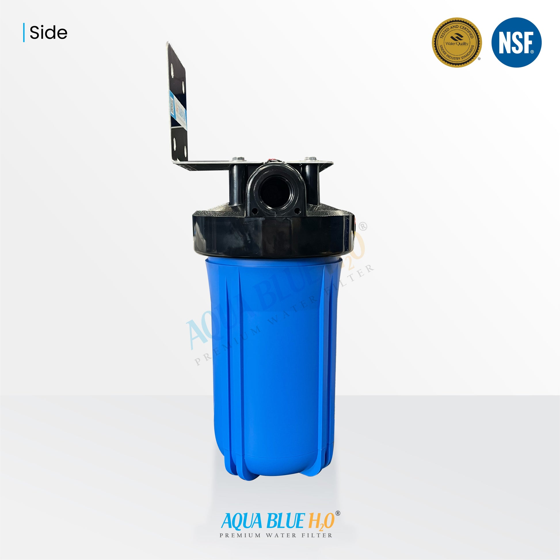 Twin Whole House Rainwater tank Water System with whole Kit