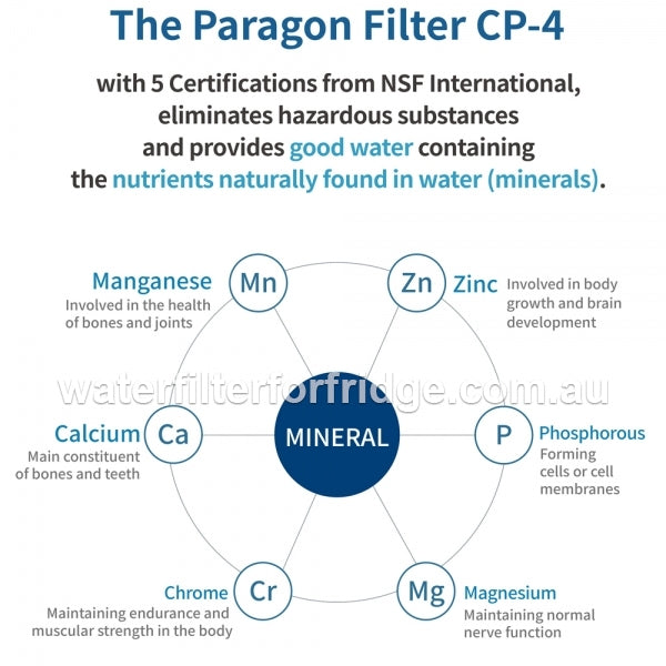 PFOS and PFOA  remove filter system