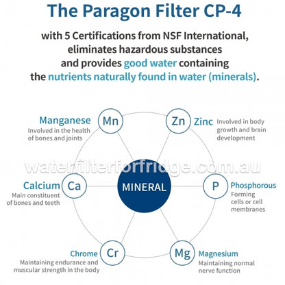 PFOS and PFOA  remove filter system