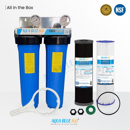 20" X 4.5" Big Blue Twin Water Filter Housing with CTO + Pleated Sediment