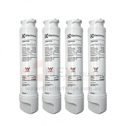 Electrolux/Westinghouse Filter Water Assembly EPTWFU01 807946705 ACC204 ULX220