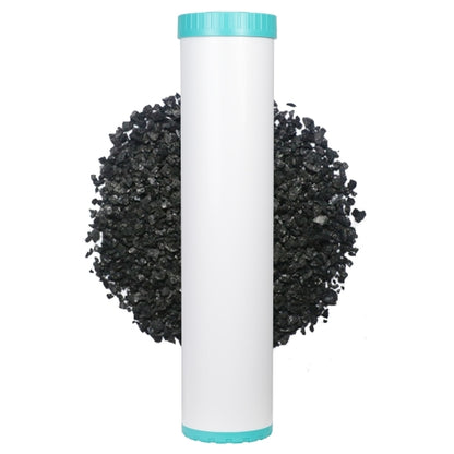 Whole House Water Filtration Systems 20 x 4.5 BIG BLUE option