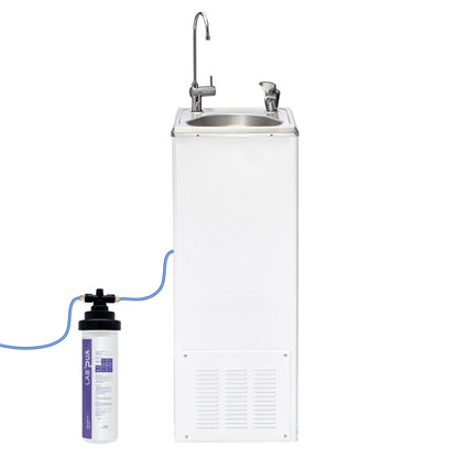 Economaster 60 BCF 19 with Lab Pua LPA-CB5-10 (5um Carbon Block, 10″L)