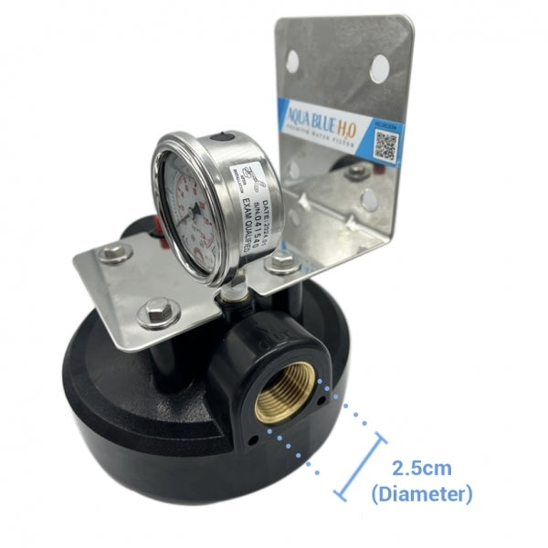 20 Inch Big Blue Whole House Water System With GAC Granular Activated Coconut Carbon 20" X 4.5" Refillable 2045 Silver GAC