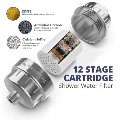 Aqua Blue h20 Shower Water Filter & Rose Complete Set SF350ARM-A