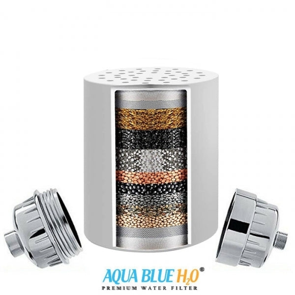 Aqua Blue h20 Shower Water Filter & Rose Complete Set SF350ARM-A