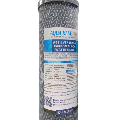 FCT-10 SILVER CARBON 5 MICRON RATING FILTER