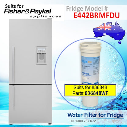 FISHER AND PAYKEL E402BRXFDU4 FRIDGE MODEL 836848/13040210 REPLACEMENT FILTER PART 