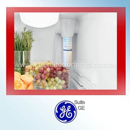 AQUA BLUE H2O MSWF-WF FOR GE MSWF FRIDGE WATER FILTER COMPATIBLE REPLACEMENT