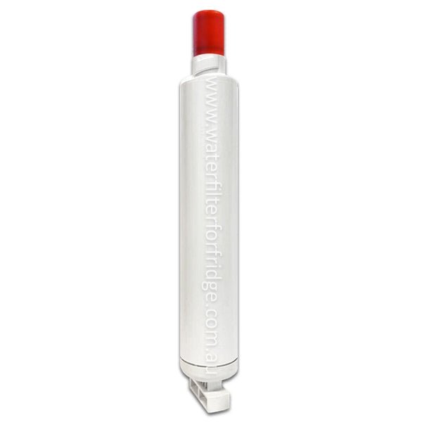 AQUA BLUE H20 842802 - WF Fisher and Paykel Filter for RS90 842802 / 839041 - WATER FILTER DISTRIBUTORS