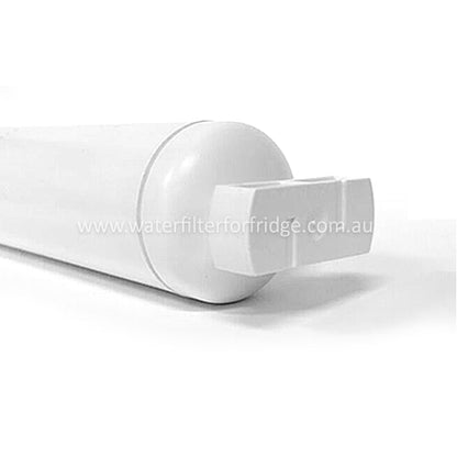 AQUA BLUE H20 842802 - WF Fisher and Paykel Filter for RS90 842802 / 839041 - WATER FILTER DISTRIBUTORS