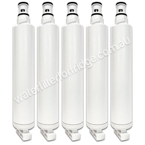 AQUA BLUE H20 842802 - WF Fisher and Paykel Filter for RS90 842802 / 839041 - WATER FILTER DISTRIBUTORS