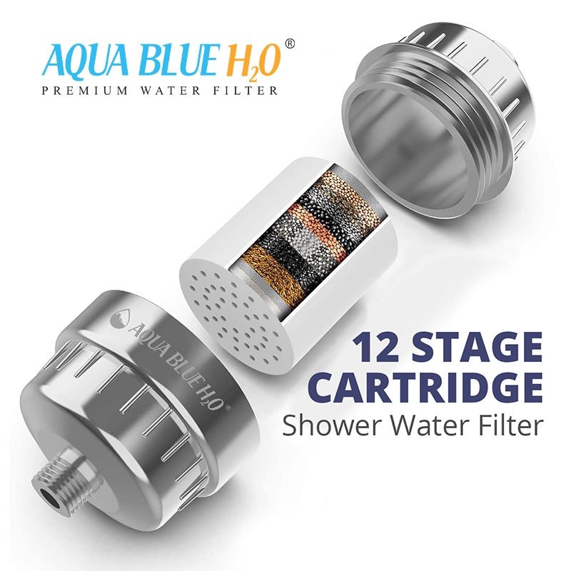 Aqua Blue h20 Shower Water Filter & Rose Complete Package SF650ARM - B - WATER FILTER DISTRIBUTORS