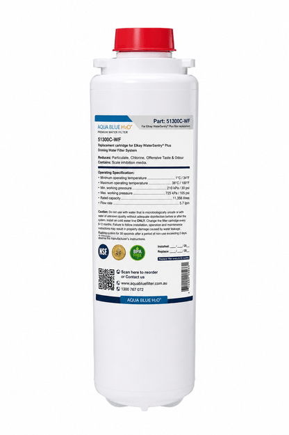 Aqua Blue H2O 51300C-WF WaterSentry Compatible Filter – Lead & Microplastics - WATER FILTER DISTRIBUTORS