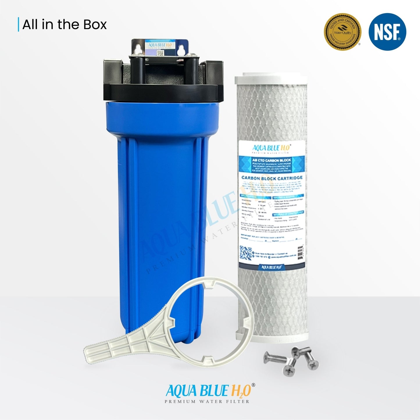 Aqua Blue H2O Carbon Block Filter - CTO Coconut Shell 10"x2.5" - WATER FILTER DISTRIBUTORS