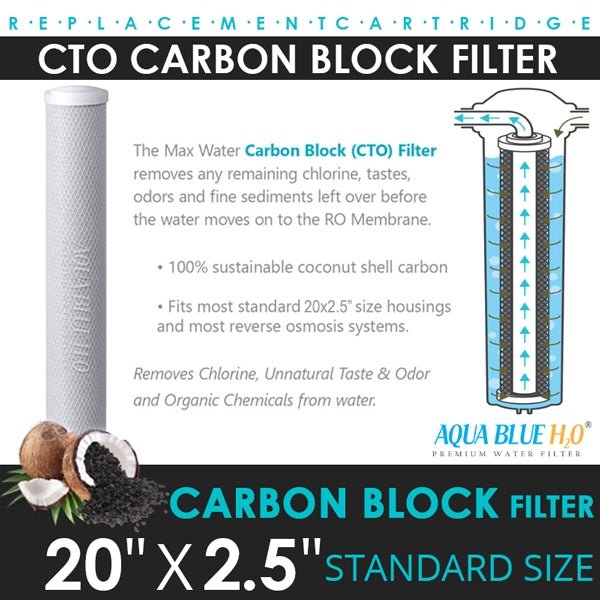 Big Blue 20"x2.5" Whole House CTO Carbon Block 5M - WATER FILTER DISTRIBUTORS