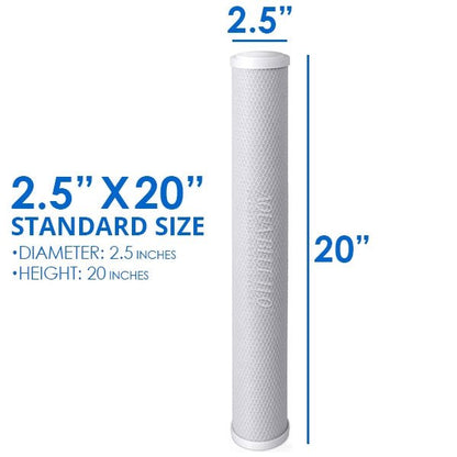 Big Blue 20"x2.5" Whole House CTO Carbon Block 5M - WATER FILTER DISTRIBUTORS