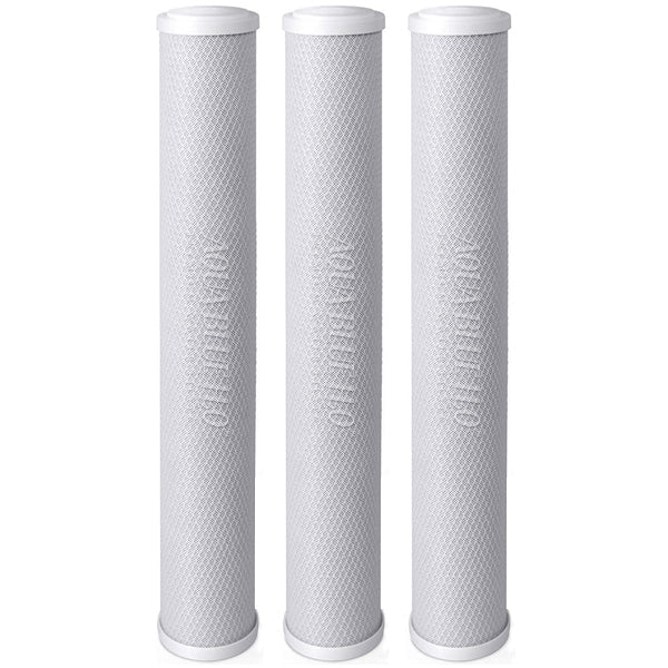 Big Blue 20"x2.5" Whole House CTO Carbon Block 5M - WATER FILTER DISTRIBUTORS