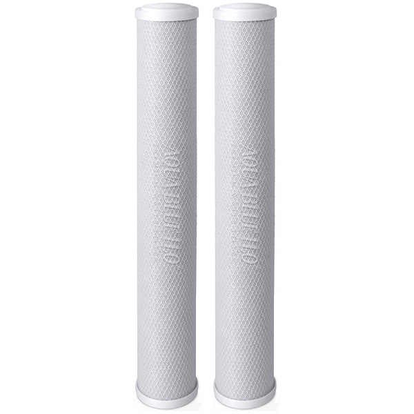 Big Blue 20"x2.5" Whole House CTO Carbon Block 5M - WATER FILTER DISTRIBUTORS