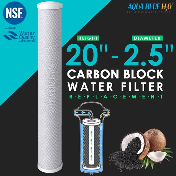 Big Blue 20"x2.5" Whole House CTO Carbon Block 5M - WATER FILTER DISTRIBUTORS