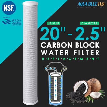 Big Blue 20"x2.5" Whole House CTO Carbon Block 5M - WATER FILTER DISTRIBUTORS