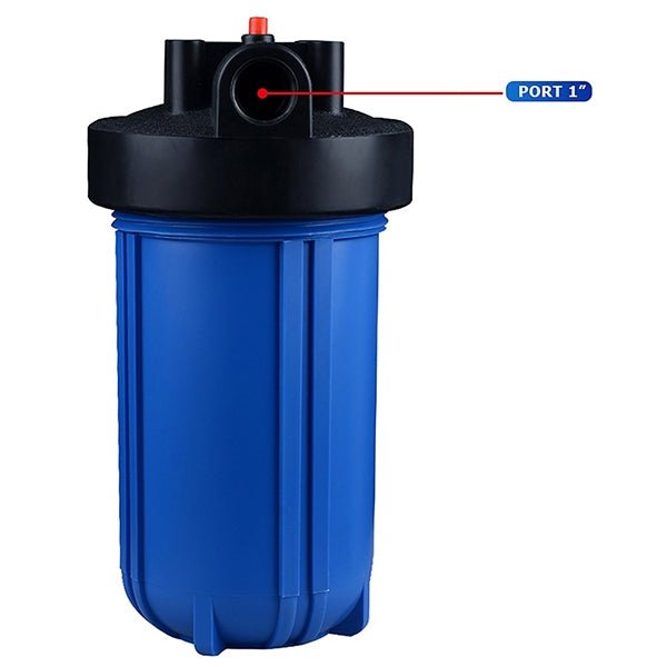 Big Blue Whole House Single System 10"x4.5" Large Diameter Aqua Blue H20 - WATER FILTER DISTRIBUTORS