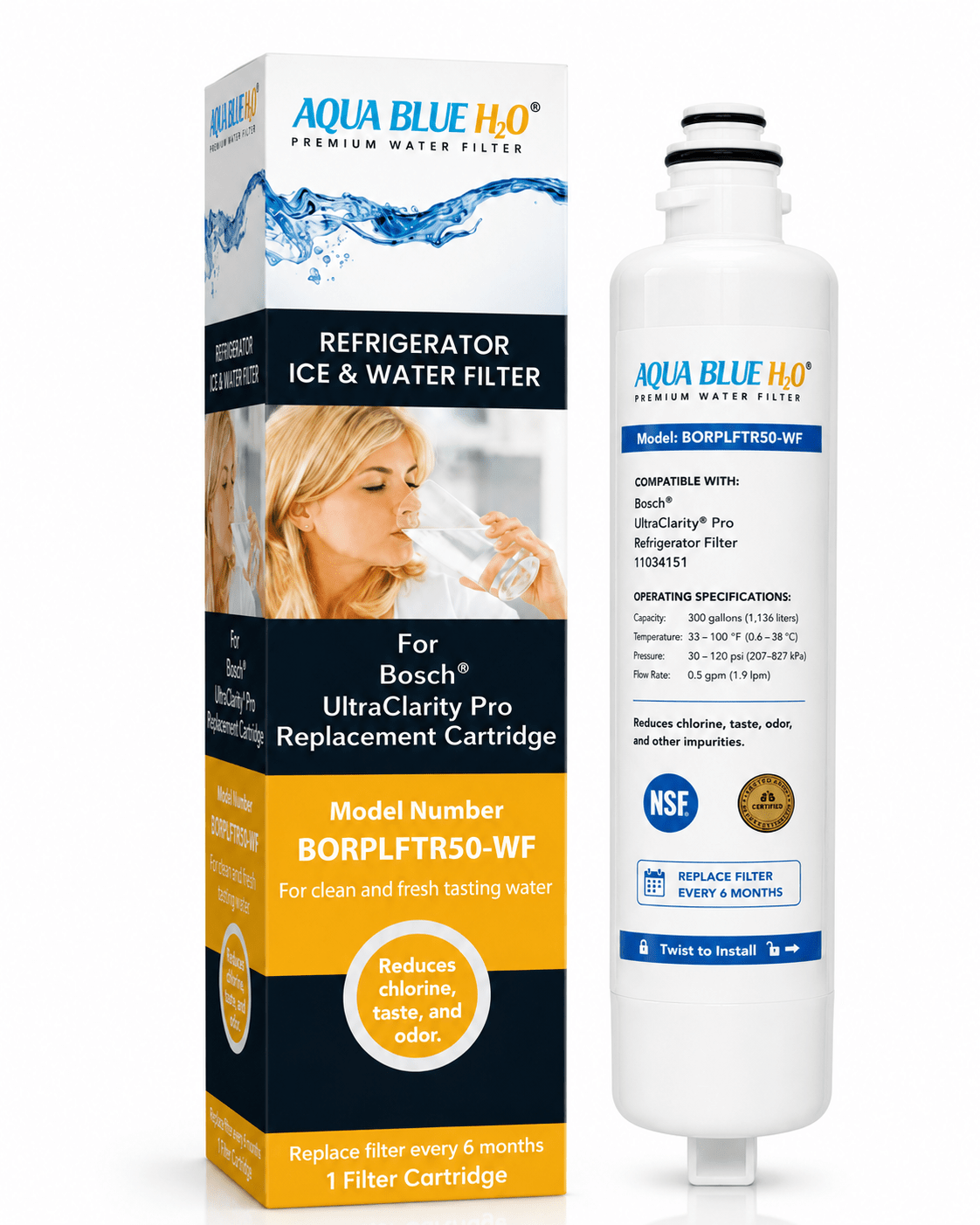 Aqua Blue H2O BORPLFTR50-WF Filter for UltraClarity Pro BORPLFTR50/55 - Water Filter Distributors
