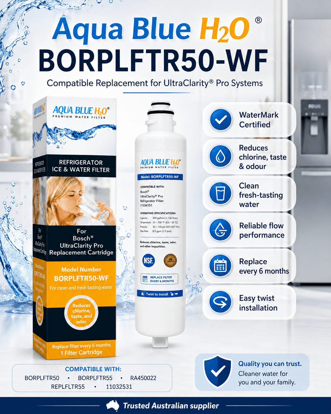 Aqua Blue H2O BORPLFTR50-WF Filter for UltraClarity Pro BORPLFTR50/55 - Water Filter Distributors