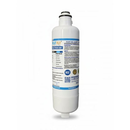 Aqua Blue H2O BORPLFTR50-WF Filter for UltraClarity Pro BORPLFTR50/55 - Water Filter Distributors