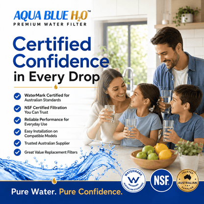 Aqua Blue H2O BORPLFTR50-WF Filter for UltraClarity Pro BORPLFTR50/55 - Water Filter Distributors