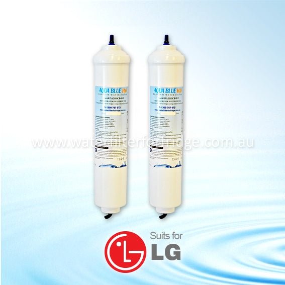 DA2010CB External Fridge Filter - Suits LG - WATER FILTER DISTRIBUTORS