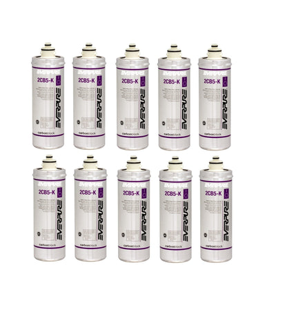 Everpure 2CB5 - K EV9617 - 06 Replacement Filter Cartridge - WATER FILTER DISTRIBUTORS