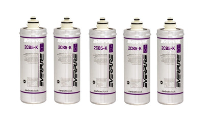 Everpure 2CB5 - K EV9617 - 06 Replacement Filter Cartridge - WATER FILTER DISTRIBUTORS