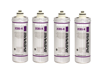 Everpure 2CB5 - K EV9617 - 06 Replacement Filter Cartridge - WATER FILTER DISTRIBUTORS