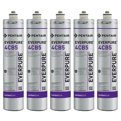 EVERPURE 4CB5 - S WATER FILTER CARTRIDGE (EV961726) - WATER FILTER DISTRIBUTORS